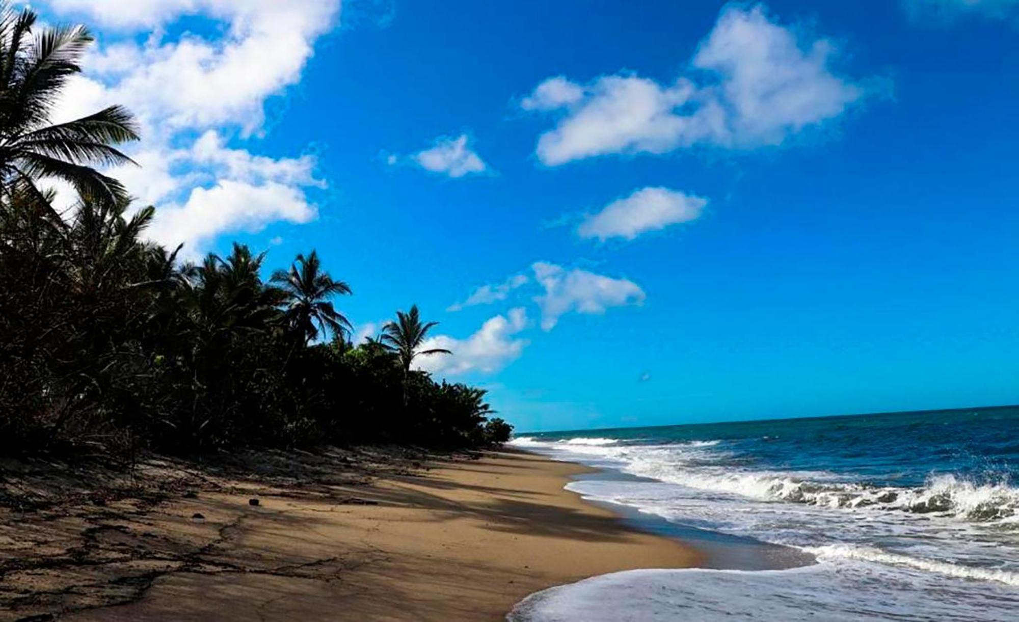 Hostal Mirador Dentro Del Parque Tayrona الزينو المظهر الخارجي الصورة