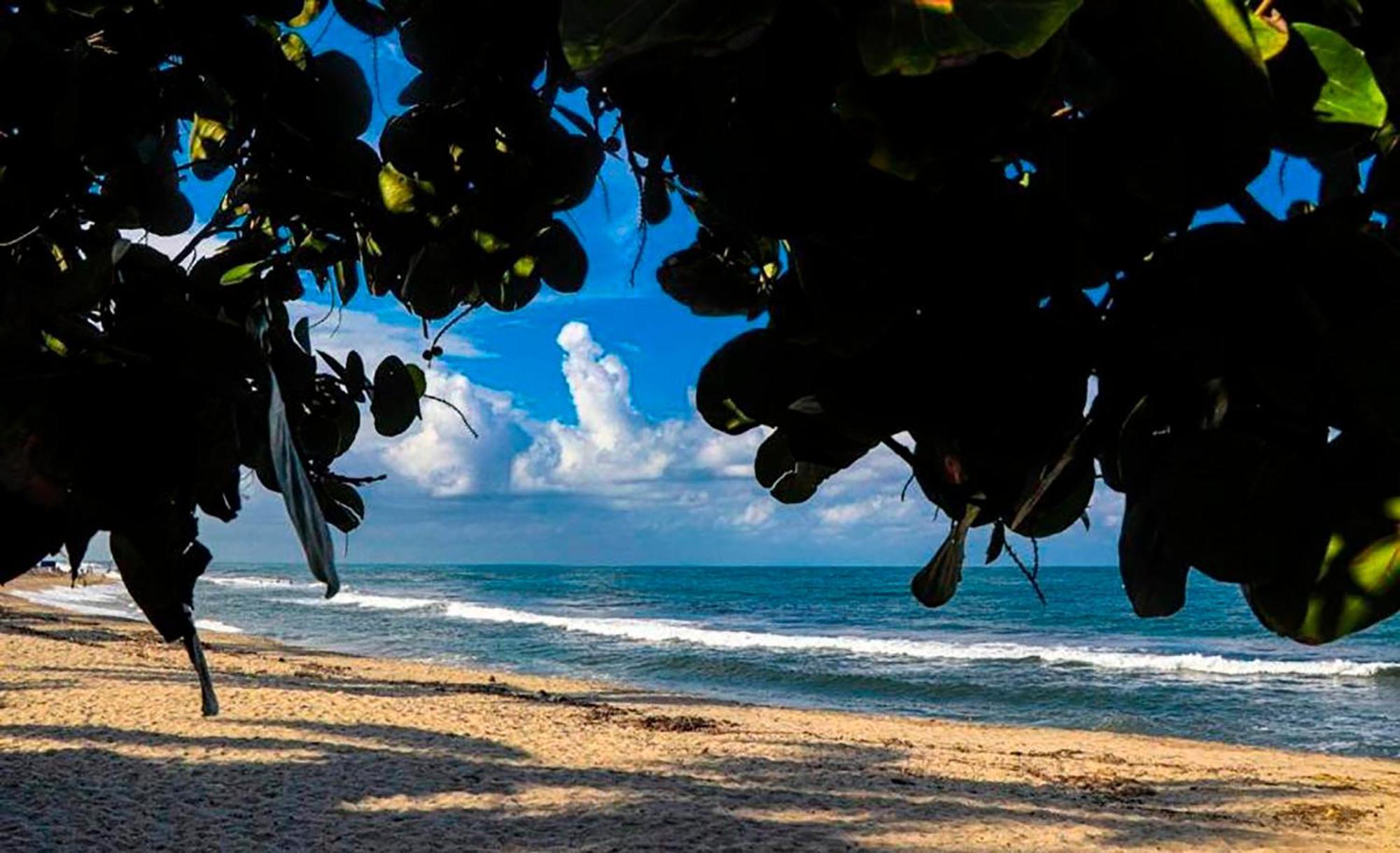 Hostal Mirador Dentro Del Parque Tayrona الزينو المظهر الخارجي الصورة
