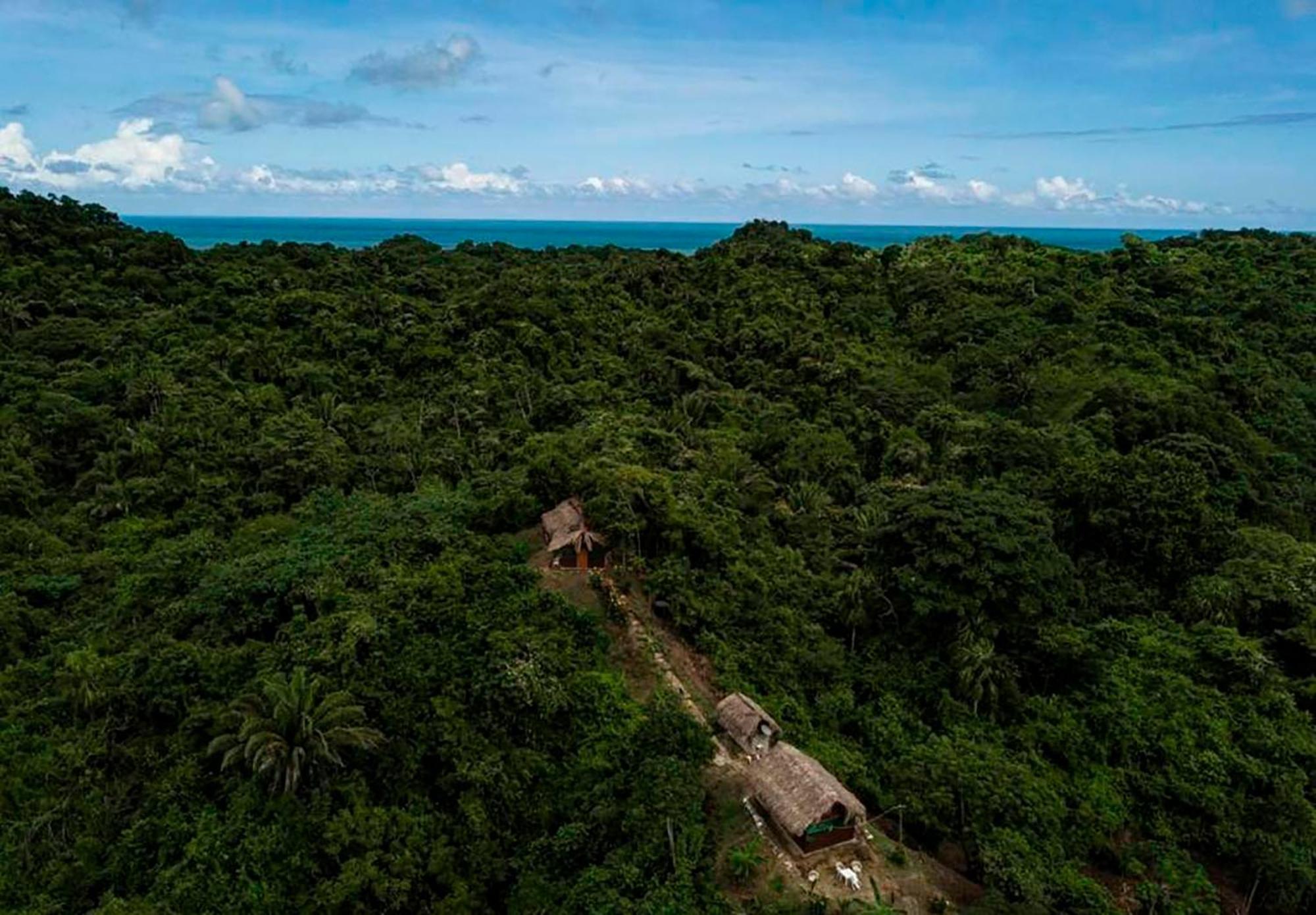 Hostal Mirador Dentro Del Parque Tayrona الزينو المظهر الخارجي الصورة