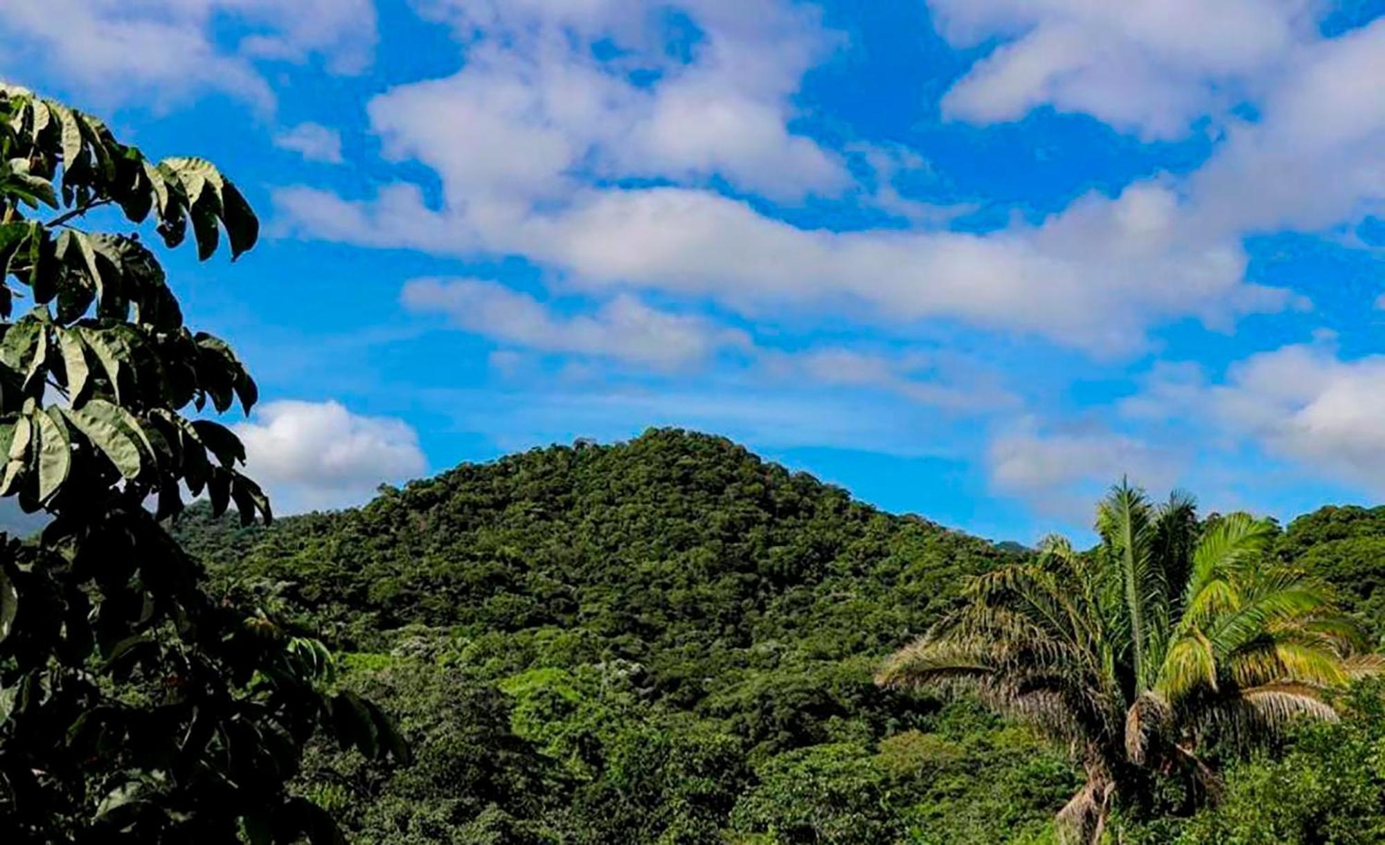 Hostal Mirador Dentro Del Parque Tayrona الزينو المظهر الخارجي الصورة