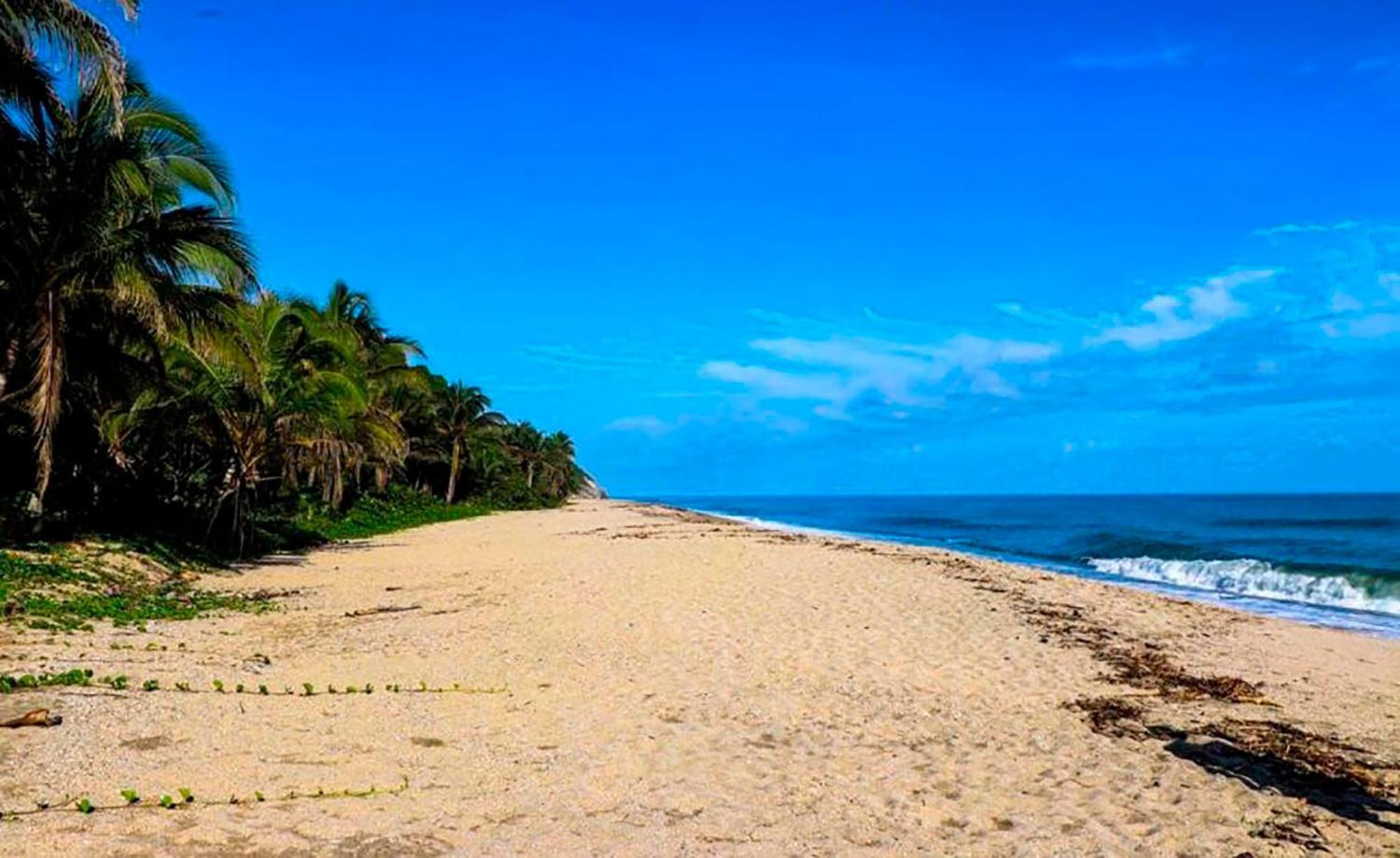 Hostal Mirador Dentro Del Parque Tayrona الزينو المظهر الخارجي الصورة