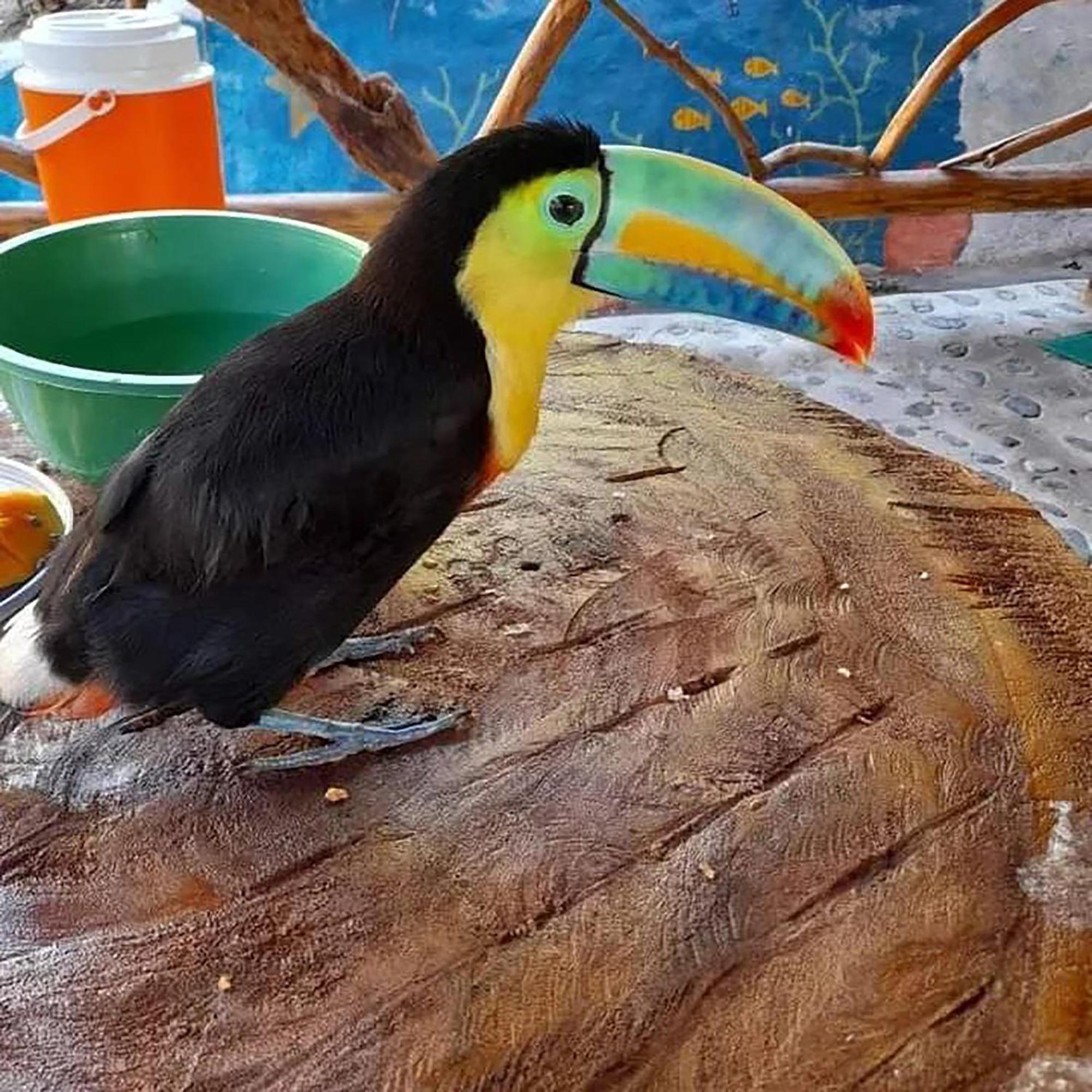 Hostal Mirador Dentro Del Parque Tayrona الزينو المظهر الخارجي الصورة