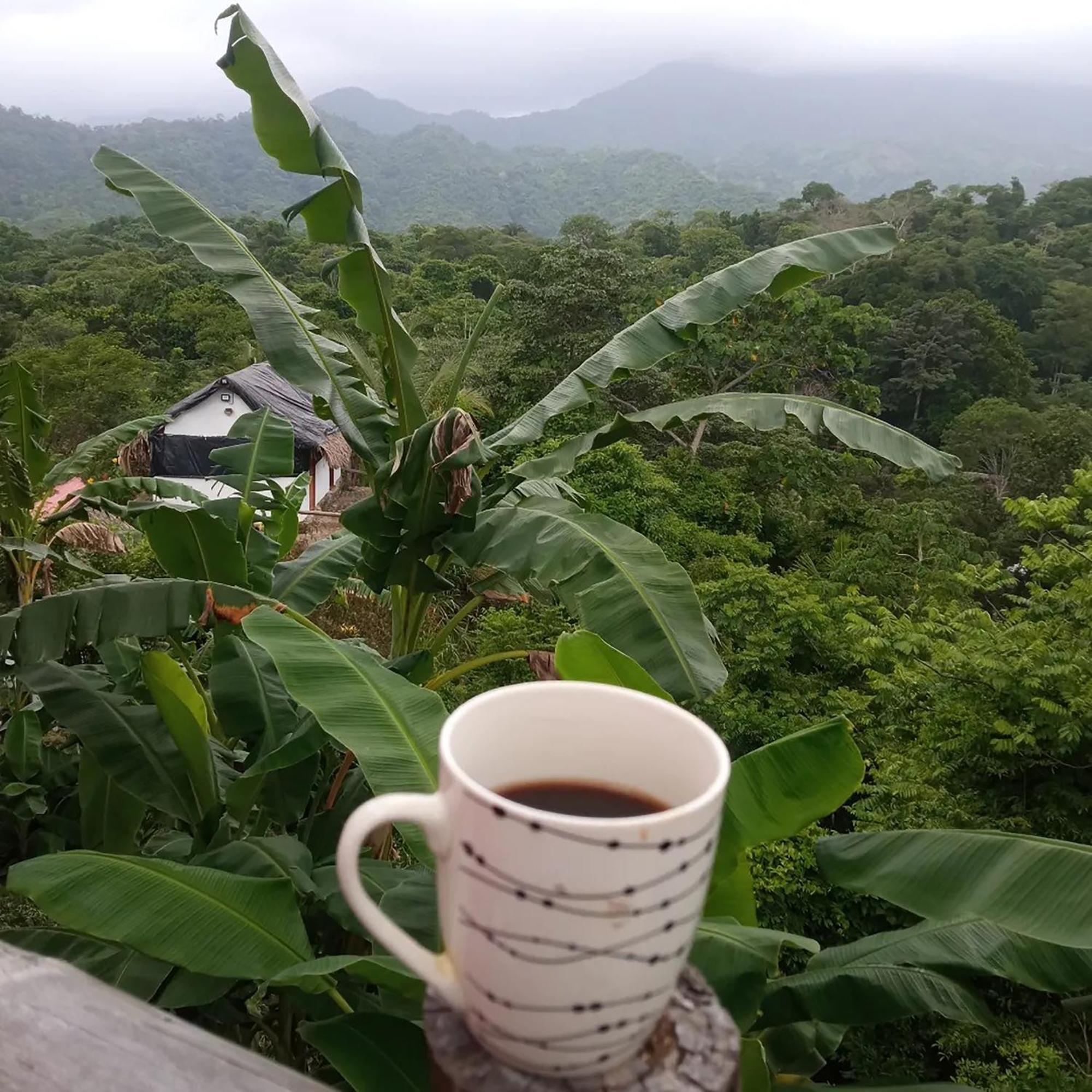 Hostal Mirador Dentro Del Parque Tayrona الزينو المظهر الخارجي الصورة