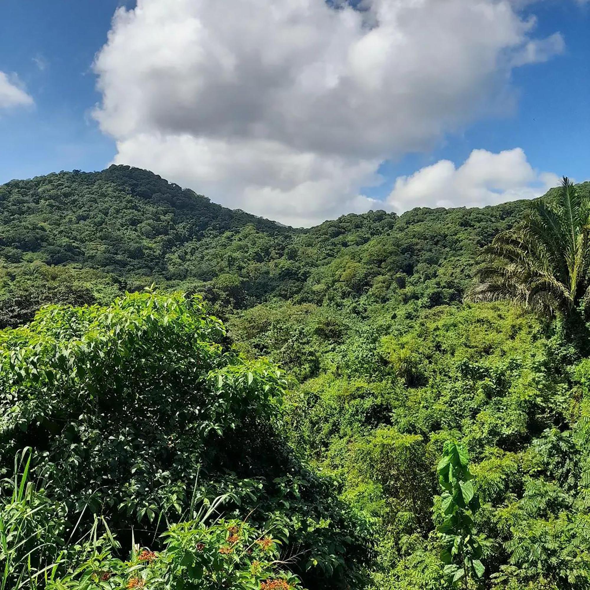 Hostal Mirador Dentro Del Parque Tayrona الزينو المظهر الخارجي الصورة