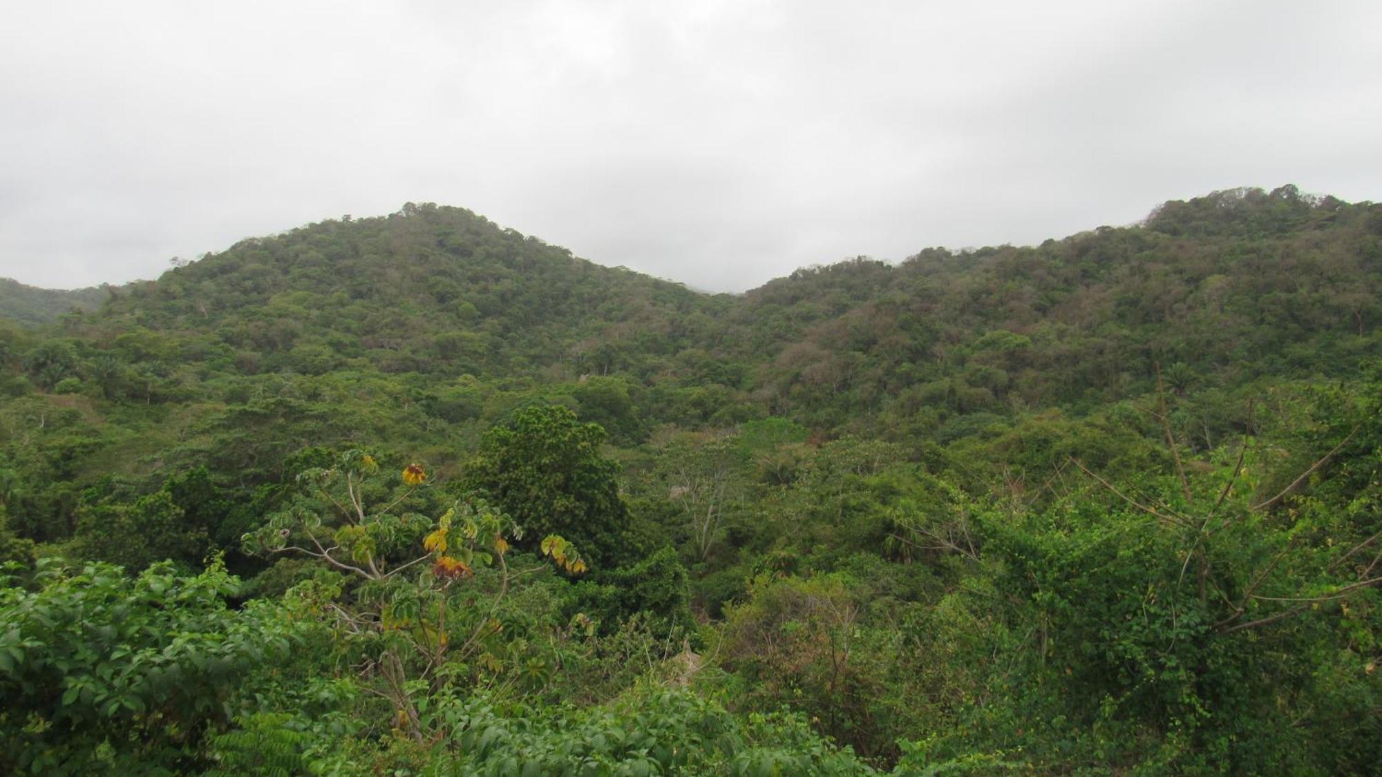 Hostal Mirador Dentro Del Parque Tayrona الزينو المظهر الخارجي الصورة